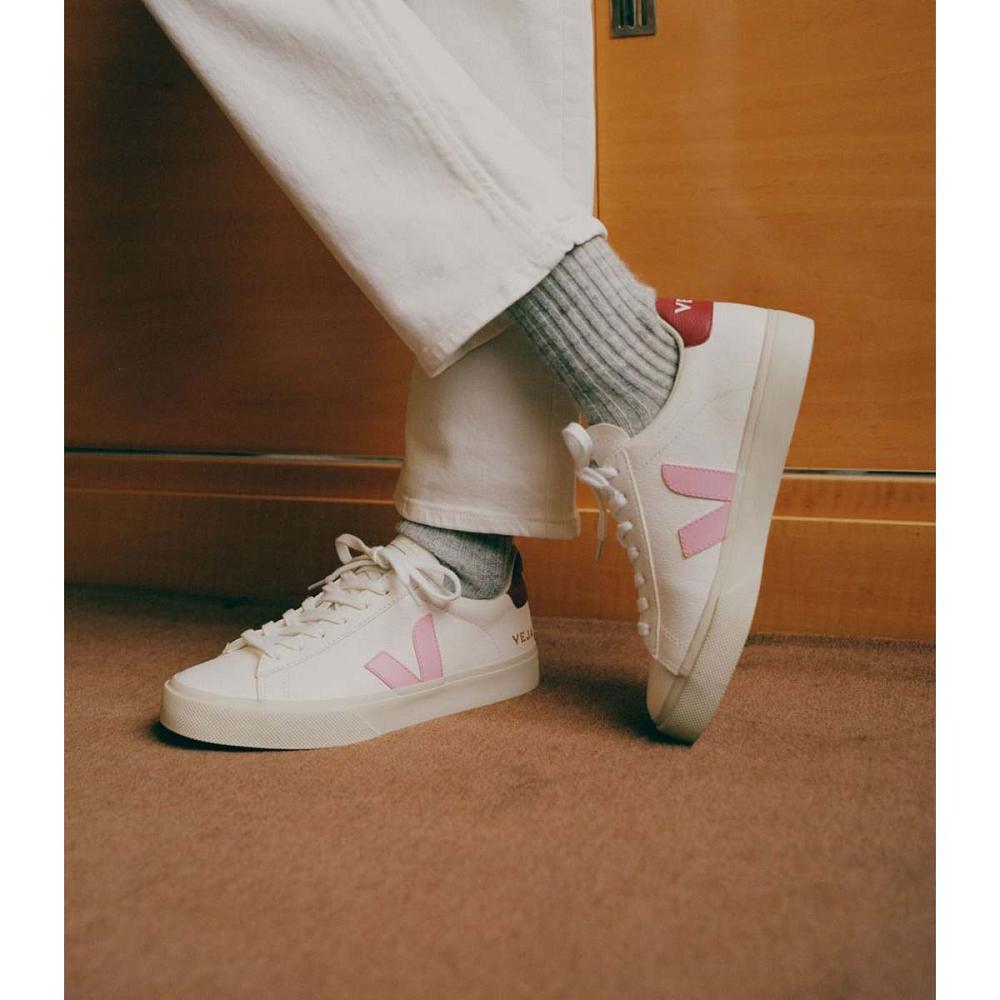 Veja CAMPO CHROMEFREE Low Tops Sneakers Herre White/Pink | NO 293YXF